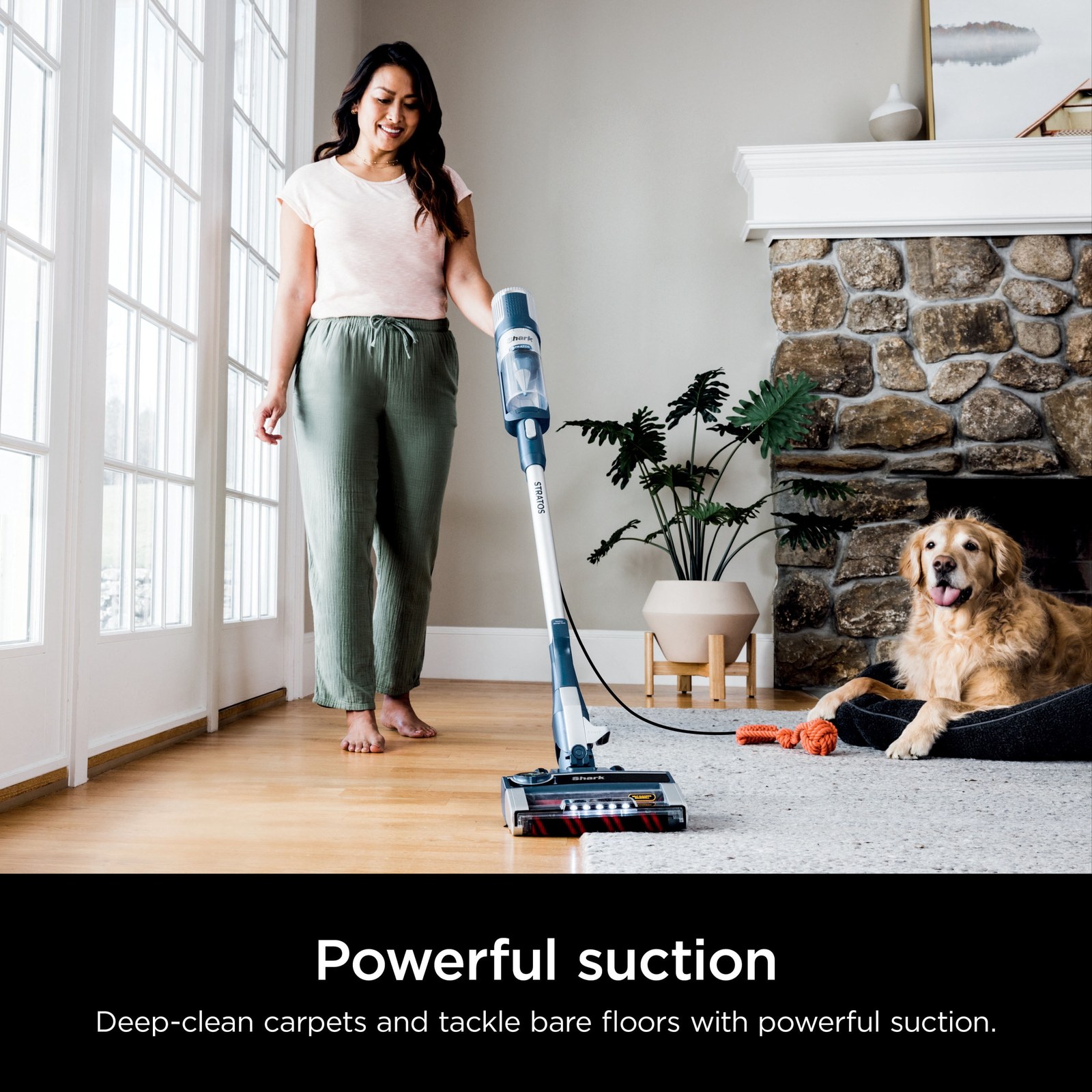shark-cordless-handheld-vacuum-cleaner-0fa0cc-01.jpg