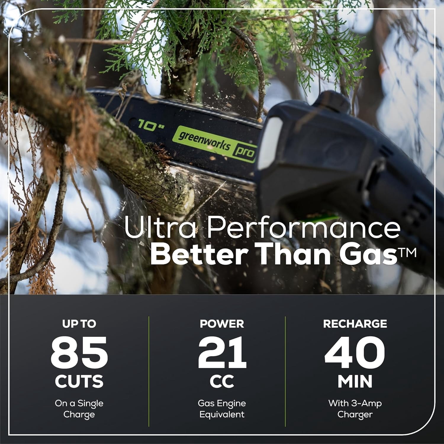 greenworks-60v-10-brushless-cordless-pole-saw-with-2-0ah-battery-and-charger-2823ae-02.jpg