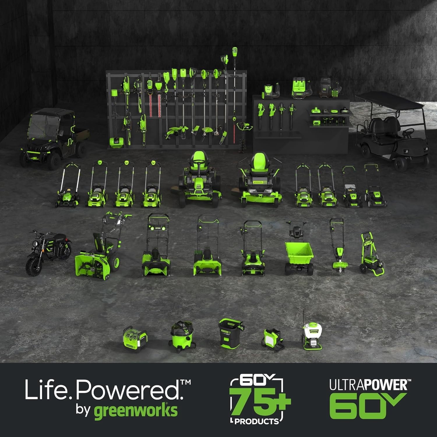 greenworks-60v-10-brushless-cordless-pole-saw-with-2-0ah-battery-and-charger-2823ae-11.jpg