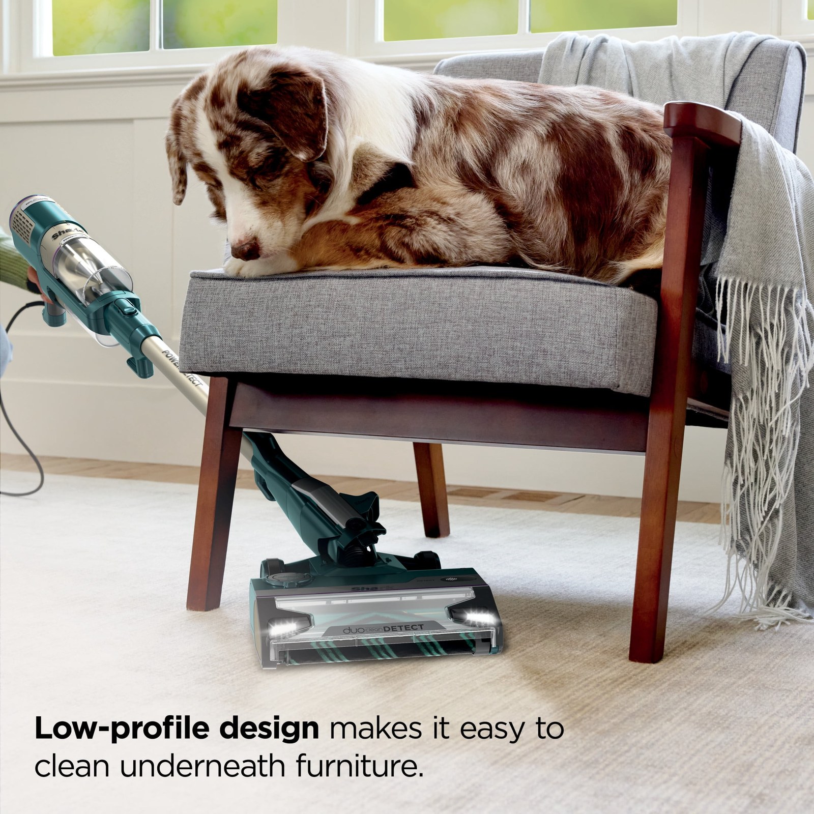 shark-powerdetect-corded-upright-vacuum-hz4000-teal-duoclean-roller-direction-and-floor-detection-removable-hand-vac-771a40-04.jpg