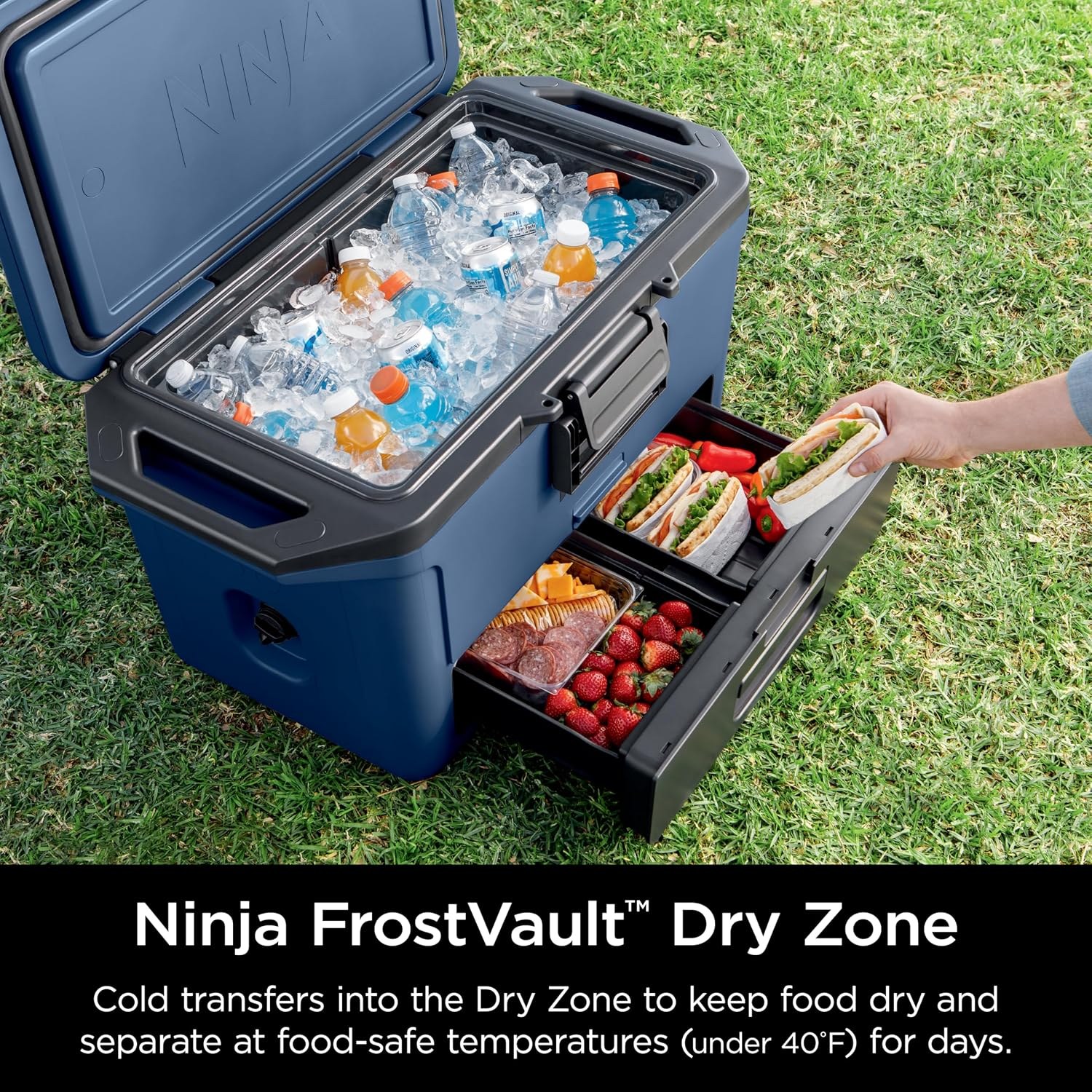 ninja-frostvault-50qt-hard-cooler-with-storage-drawer-lakeshore-blue-fb151bl-7a8a90-02.jpg