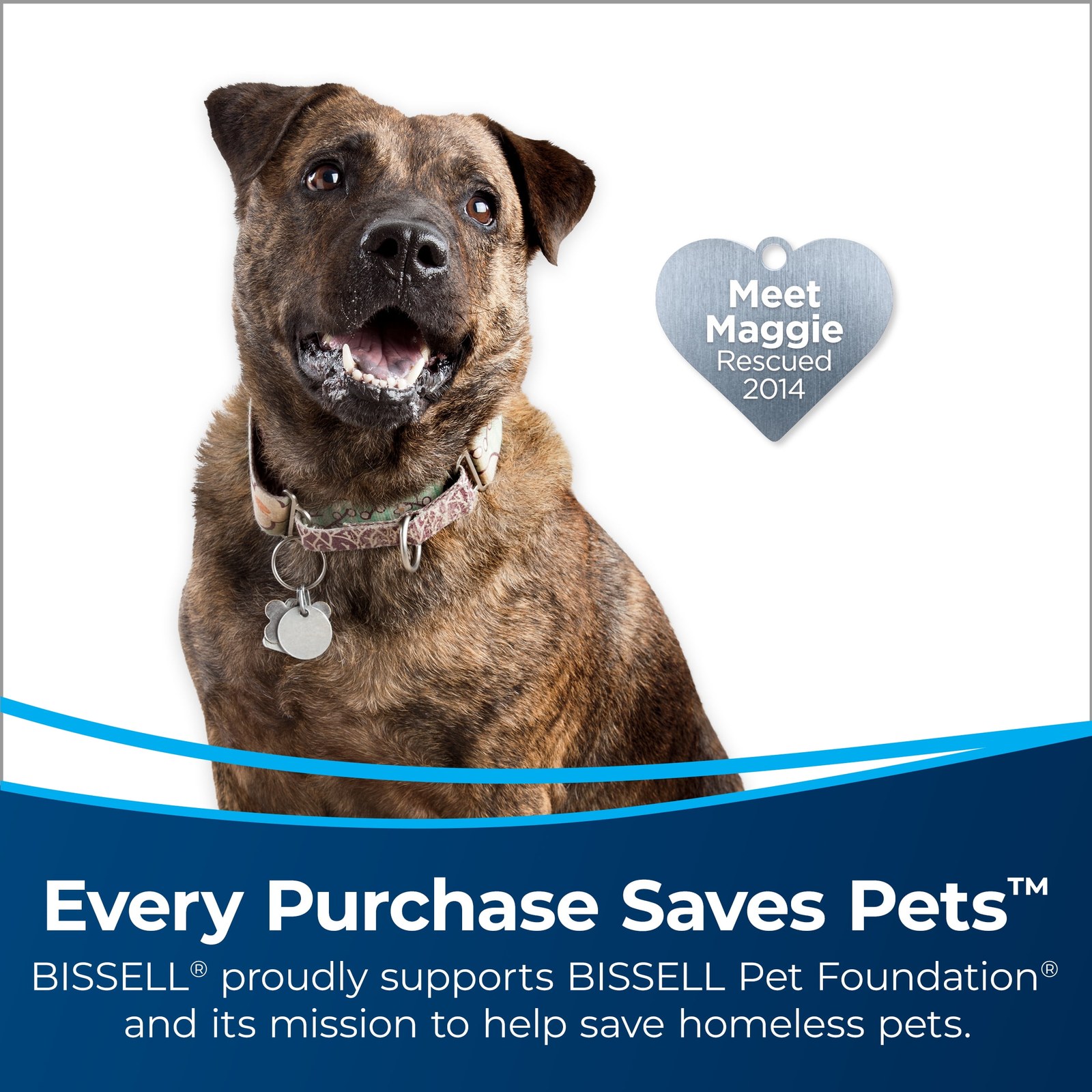 bissell-pet-hair-eraser-turbo-2475-bagless-upright-vacuum-with-tangle-free-brush-roll-and-extension-wand-grey-b625dc-01.jpg