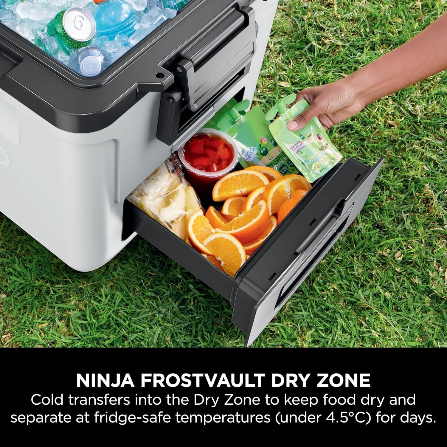 ninja-cooler-ca0d89-03.jpg