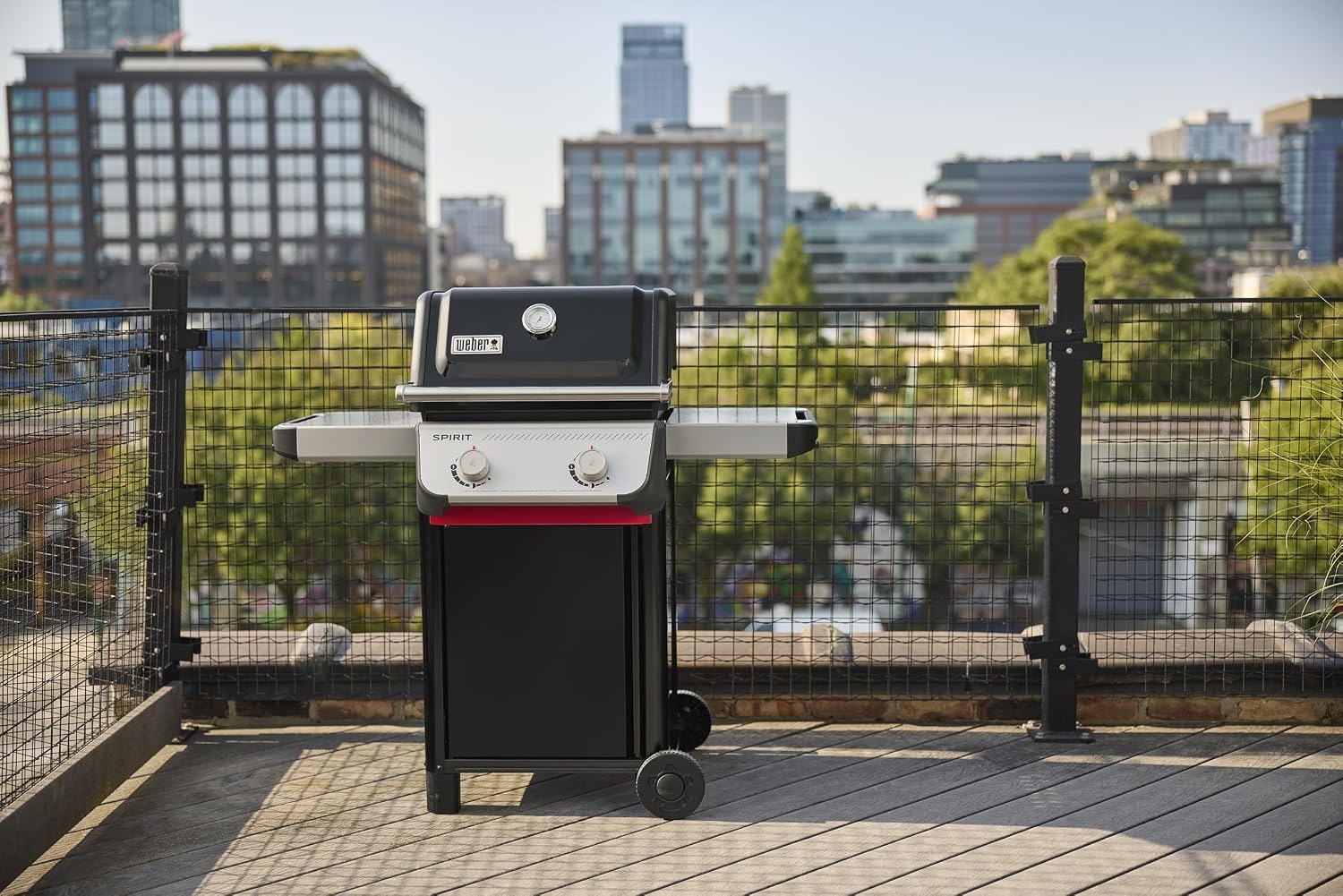 weber-spirit-e-210-propane-gas-grill-black-dcb197-03.jpg